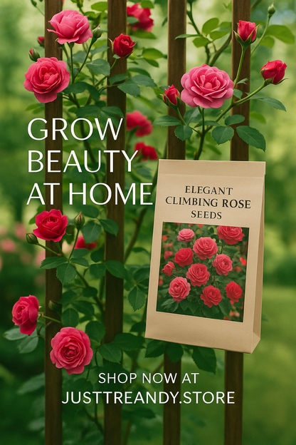 Elegant Climbing Rose Flower Seeds – Garden Beauty in Bloom
